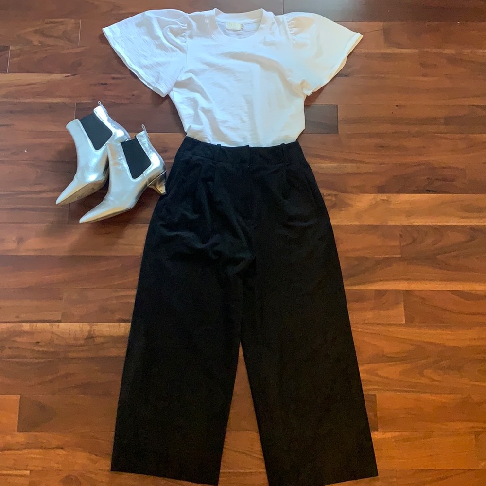 Wilfred (from Aritzia) size 4 culottes.